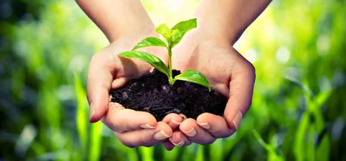 Environmental, Health and Safety